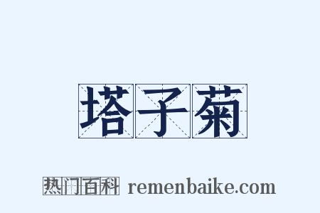 塔子菊是什么意思的图片